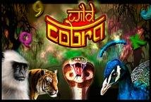 Wild Cobra Slot Review